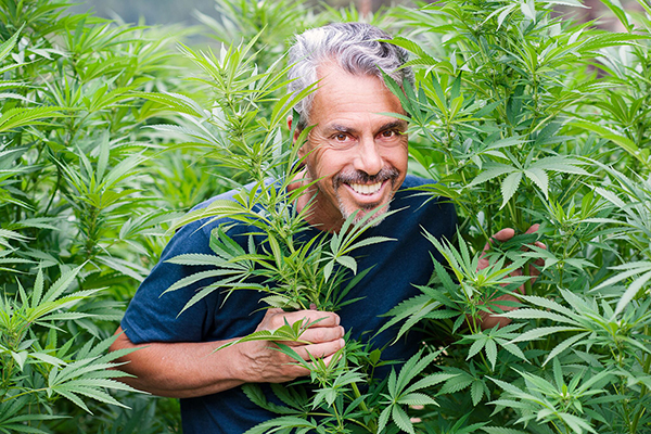 Get to Know Cannabis from This Medicine Hunter