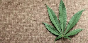 FDA Approved: First Cannabis Medicine for Epilepsy