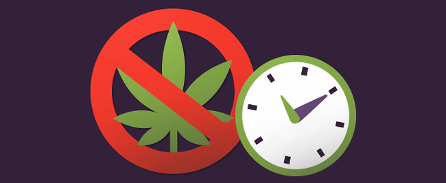 How to bring down cannabis tolerance without taking a break