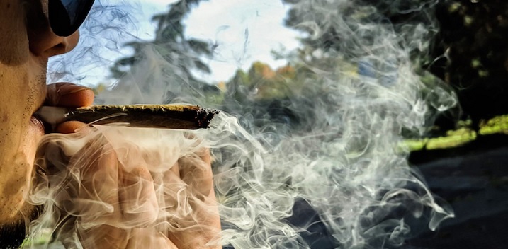 Top 8 Marijuana Strains to Avoid Powerful Highs