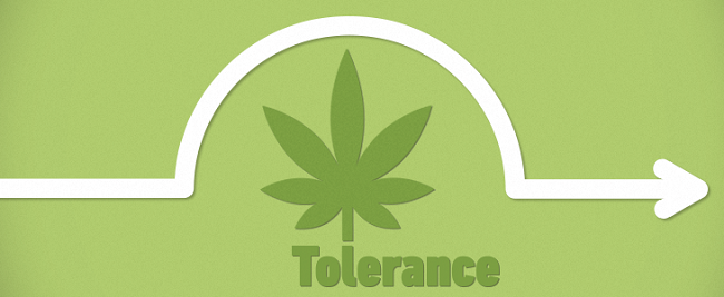 Can marijuana tolerance be avoided?