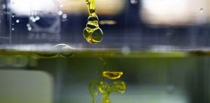 What Do Researchers Really Think About CBD Oil?