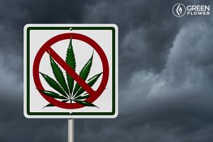 Cannabis Withdrawal: How to Ace a Cannabis Break