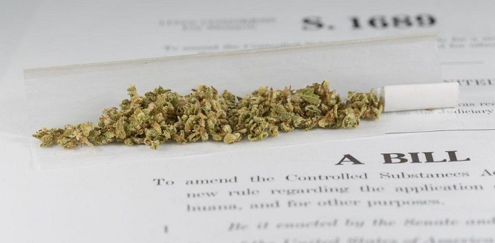Senate Panel Criticizes Cannabis’ Schedule 1 Barrier