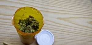 Michigan Approves New Conditions for Medical Cannabis