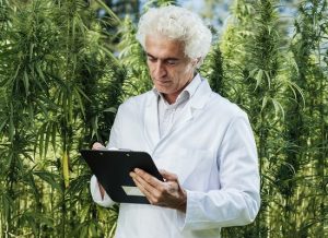 The U.S. federal government stymies cannabis research.