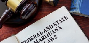 DEA May Allow 450% More Cannabis for Research