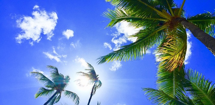 Hawaii To Tackle Unresolved Cannabis Policy Issues
