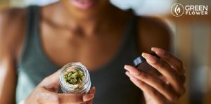 How to Pick the Best Cannabis Brands at The Dispensary