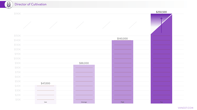 Cultivation directors earned the most money for employees who work directly with the plant.