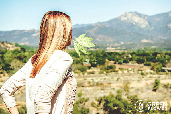 Hemp protein strengthens hair.