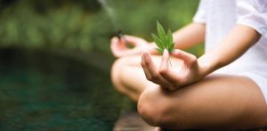 Cannabis and Meditation Share A Most Fascinating Relationship