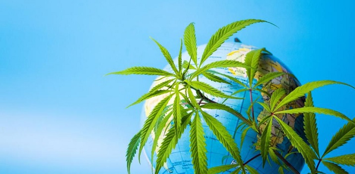 Feds Want Your Input on Marijuana Reclassification