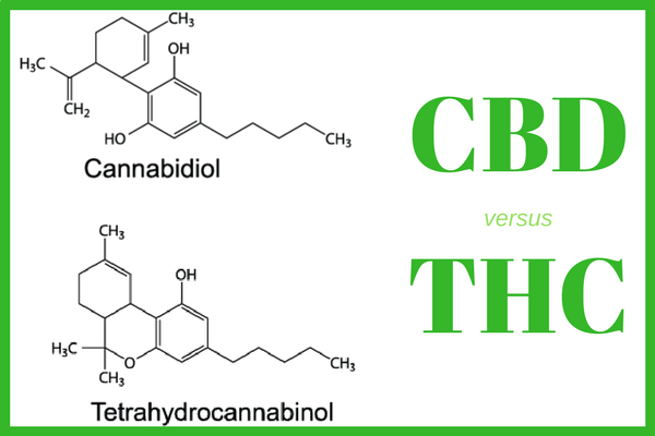The different ways CBD and THC affect the human body resulted in the strict legislative regulations.