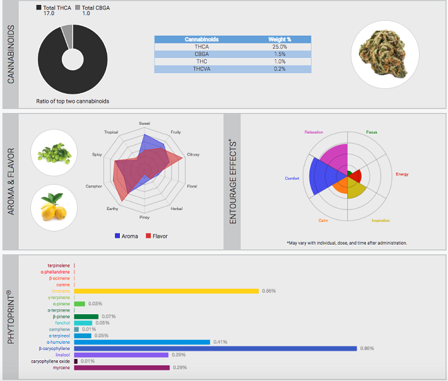 NaPro Research has built a search tool for clients to review the chemical expression of cannabis products to discern quality and value.