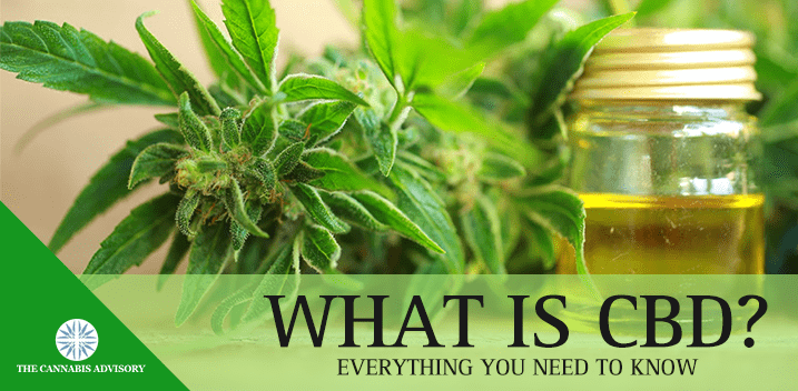 What is CBD