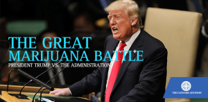 Trump and marijuana