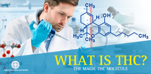 What is THC