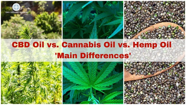How is Hemp Oil Different from Other Cannabis Products?