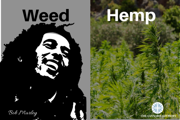 Hemp vs weed. It’s probably the biggest confusion to pervade the cannabis industry.