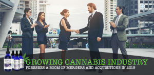 Cannabis industry mergers