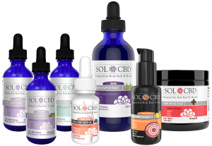 CBD Oil and the Endocannabinoid System