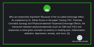 Terpenoids are important because of the entourage effect.