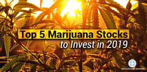 top marijuana stocks