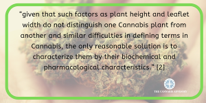 Looking for different strains of marijuana is an inaccurate way of describing chemically distinct plant types.