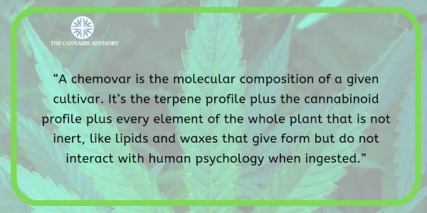 Scientists are getting annoyed at the mainstream classification of cannabis under different strains.